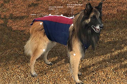 HBM leads the way in Hartpury College research project