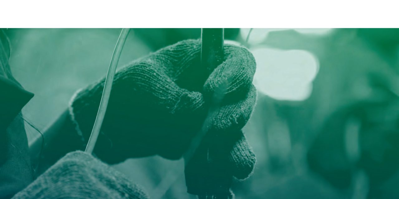 Global EMC solutions provider EMIS publishes new Shortform Product Catalogue