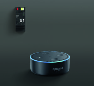Gira X1 and Echo Dot Black