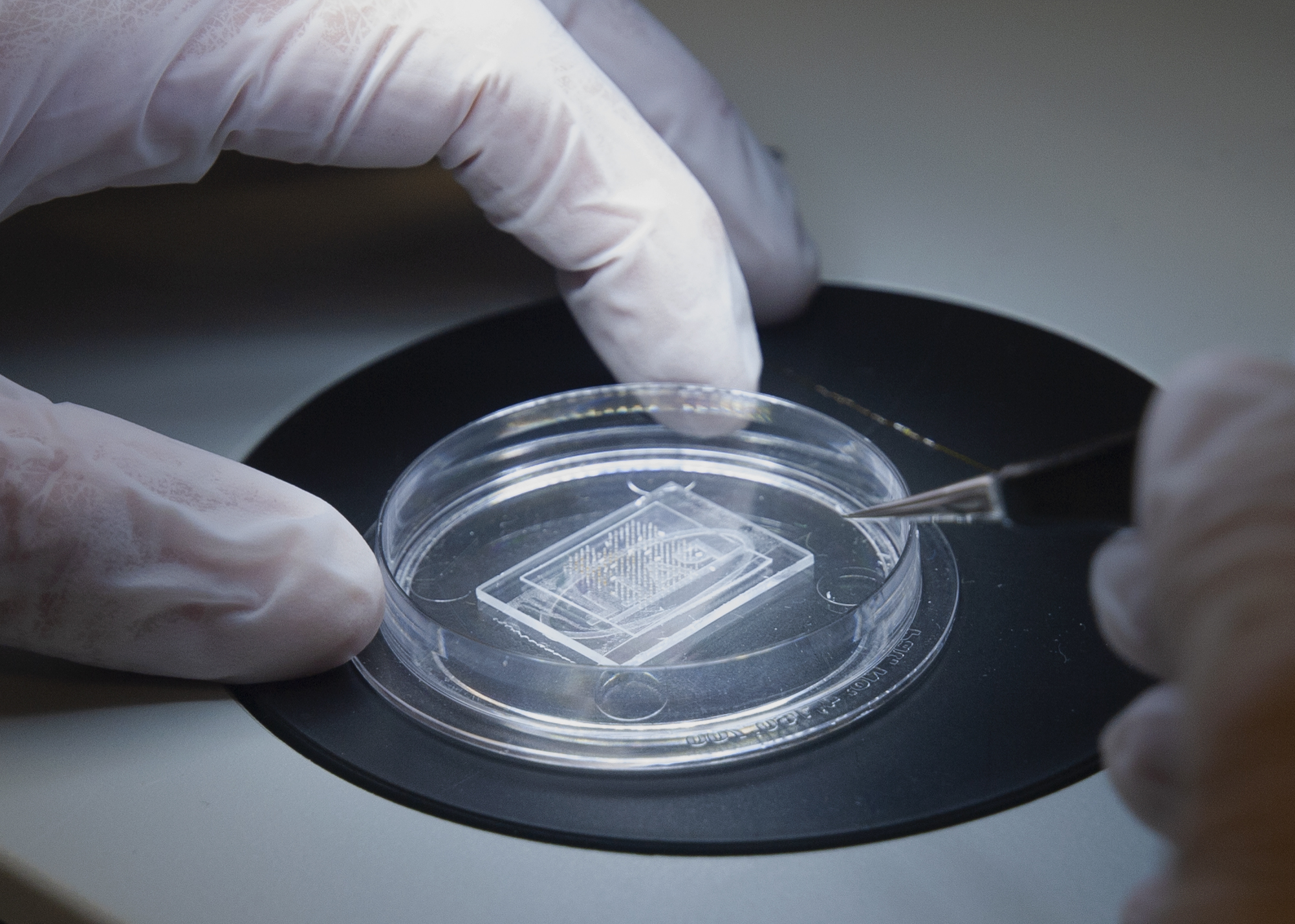 Sensera achieves ISO 13485 quality certification