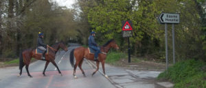 ZF EH Equine Safety Crossing 1