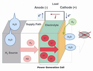 construction of hydrogen fuel cell